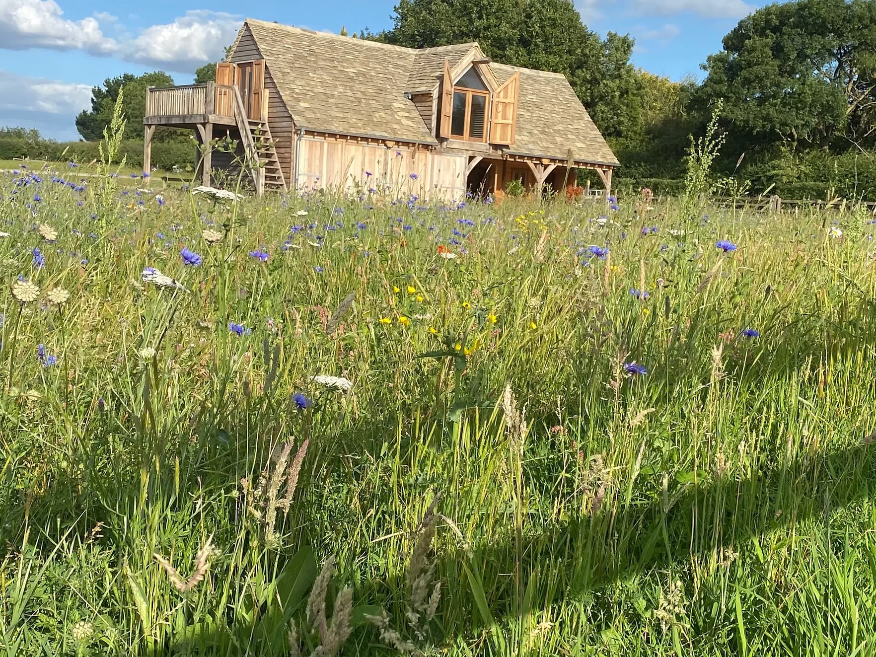 The cottage in a wildflower meadow at dusk
